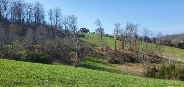 LOT2 Smokey Quartz Blvd, New Tazewell, TN 37825 - photo 32