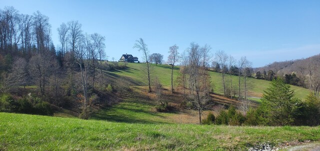 LOT2 Smokey Quartz Blvd, New Tazewell, TN 37825 - photo 30