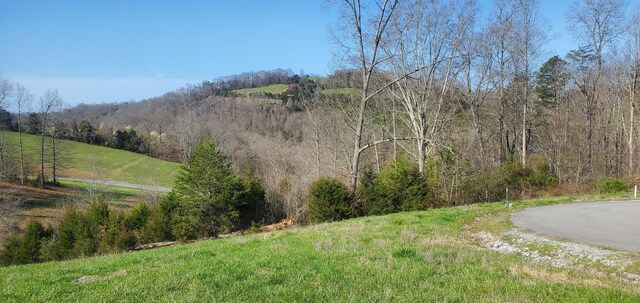 LOT2 Smokey Quartz Blvd, New Tazewell, TN 37825 - photo 33