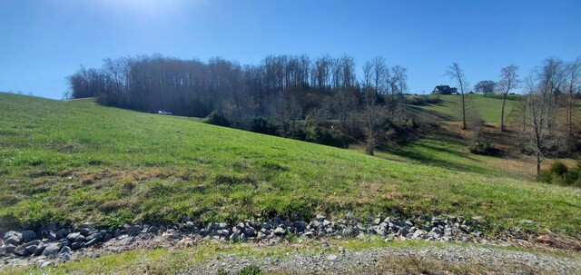 LOT2 Smokey Quartz Blvd, New Tazewell, TN 37825 - photo 44
