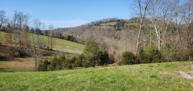 LOT2 Smokey Quartz Blvd, New Tazewell, TN 37825 - photo 35