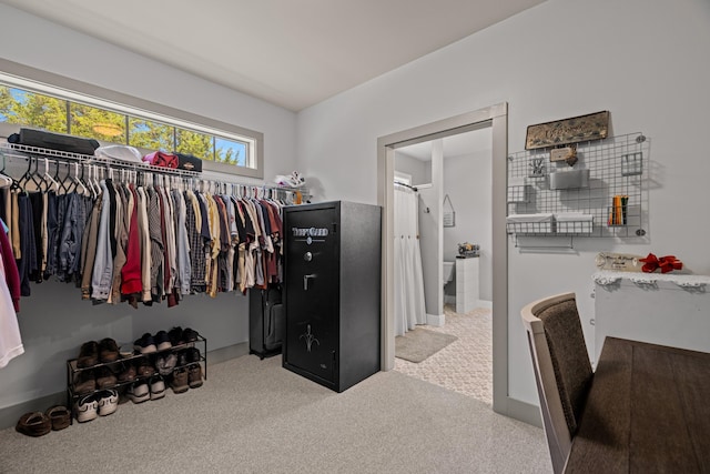 2545 Amanda Ln, Sevierville, TN 37876 - walk in closet with carpet floors