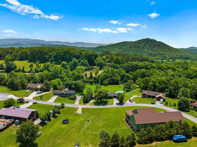 2545 Amanda Ln, Sevierville, TN 37876 - bird's eye view of mountains and a heavily wooded area