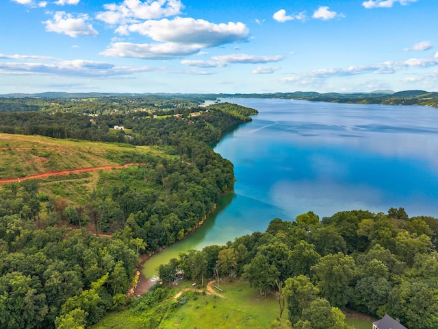 LOT3 Lowe Dr, Talbott, TN 37877 - photo 9