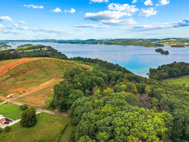 LOT3 Lowe Dr, Talbott, TN 37877 - photo 10