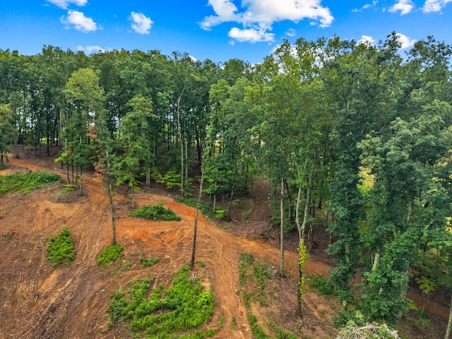 LOT3 Lowe Dr, Talbott, TN 37877 - photo 13