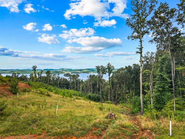 LOT3 Lowe Dr, Talbott, TN 37877 - photo 11