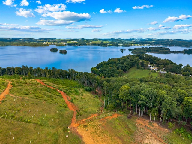 LOT3 Lowe Dr, Talbott, TN 37877 - photo 5