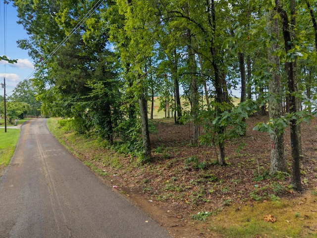 LOT3 Lowe Dr, Talbott, TN 37877 - photo 3