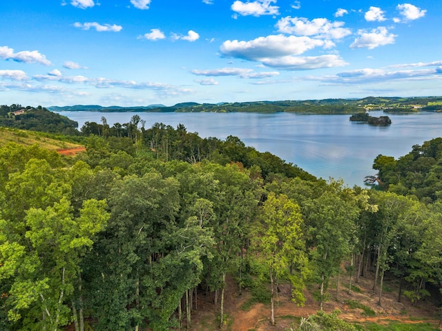LOT3 Lowe Dr, Talbott, TN 37877 - photo 15