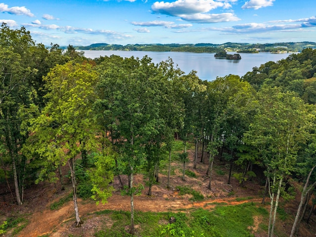 LOT3 Lowe Dr, Talbott, TN 37877 - photo 12