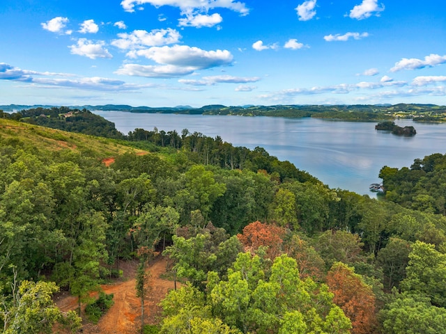 LOT3 Lowe Dr, Talbott, TN 37877 - photo 14