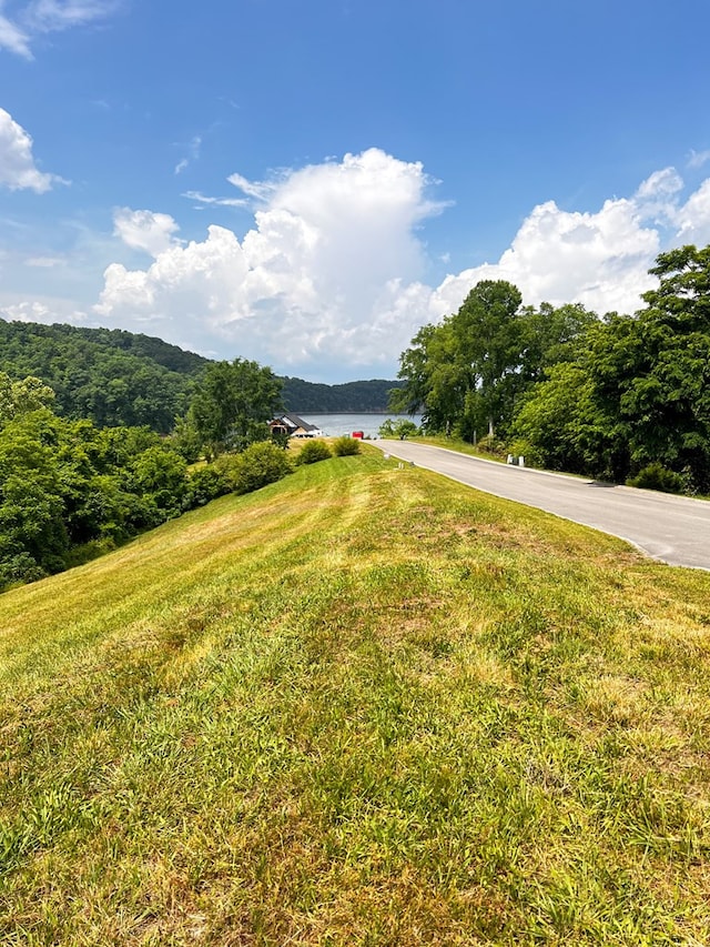 Listing photo 3 for 2063 Turners Landing Rd, Russellville TN 37860