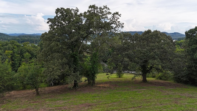 LOT56 Whispering Ct, Bean Station, TN 37708 - photo 7