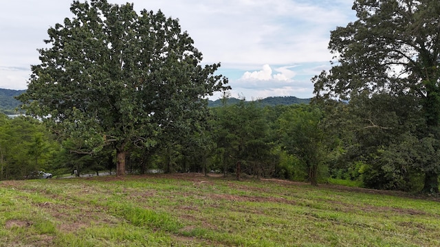 LOT56 Whispering Ct, Bean Station, TN 37708 - photo 6