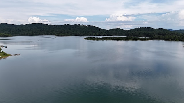 LOT56 Whispering Ct, Bean Station, TN 37708 - photo 10