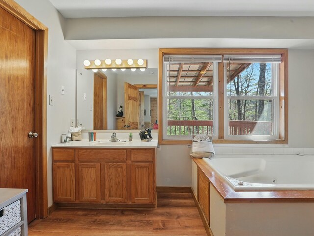 bathroom with a jetted tub, a healthy amount of sunlight, wood finished floors, and vanity