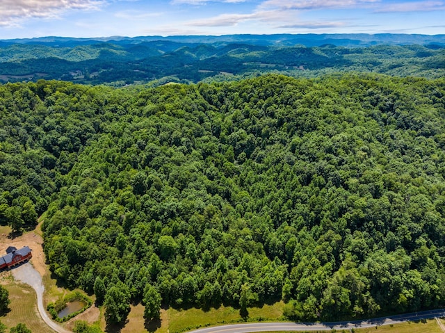 aerial view featuring a mountain view