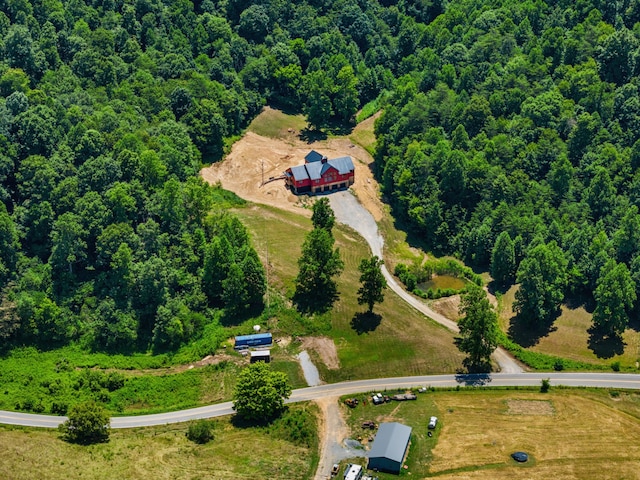 bird's eye view