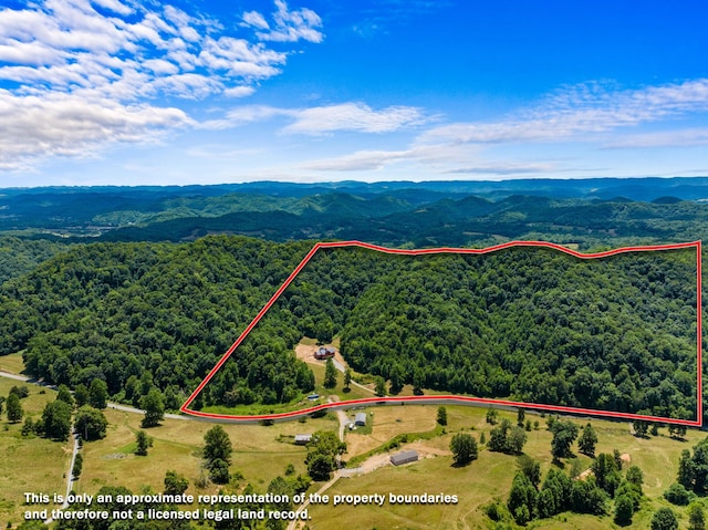 birds eye view of property featuring a mountain view