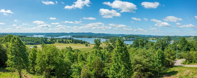 164 Logans Blf, Bean Station, TN 37708 - aerial view of a large body of water and a heavily wooded area
