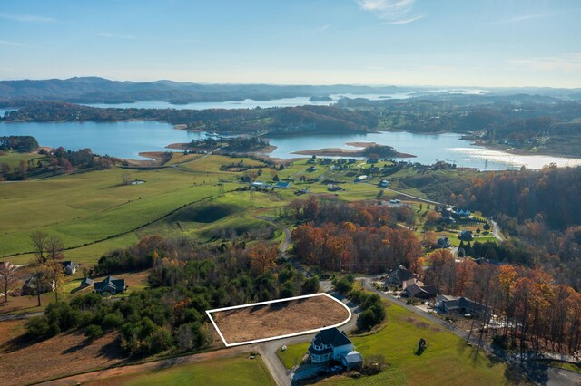 164 Logans Blf, Bean Station, TN 37708 - aerial view of property's location with a water and mountain view, property parcel outlined, and a heavily wooded area