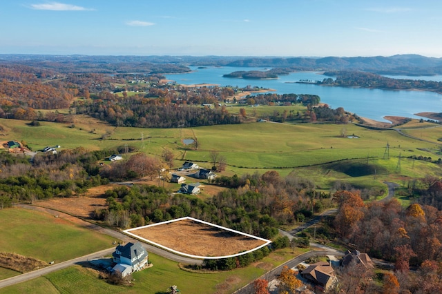 164 Logans Blf, Bean Station, TN 37708 - view of property location with a large body of water and property boundaries highlighted
