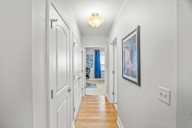 314 Sandpiper Ln, Bean Station, TN 37708 - hallway with a textured wall, light wood-style flooring, and baseboards