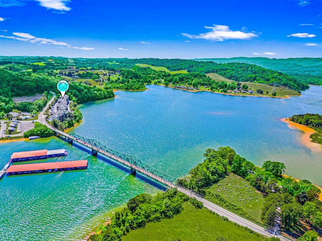 314 Sandpiper Ln, Bean Station, TN 37708 - drone / aerial view of a nearby body of water and a heavily wooded area