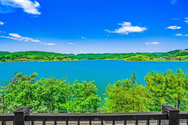 314 Sandpiper Ln, Bean Station, TN 37708 - water view