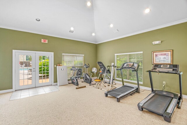 314 Sandpiper Ln, Bean Station, TN 37708 - exercise area featuring carpet, crown molding, lofted ceiling, baseboards, and french doors