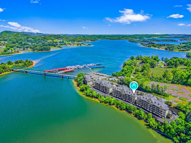 314 Sandpiper Ln, Bean Station, TN 37708 - aerial view of a nearby body of water