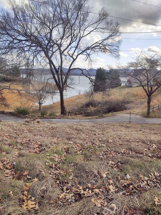 view of yard featuring a water view