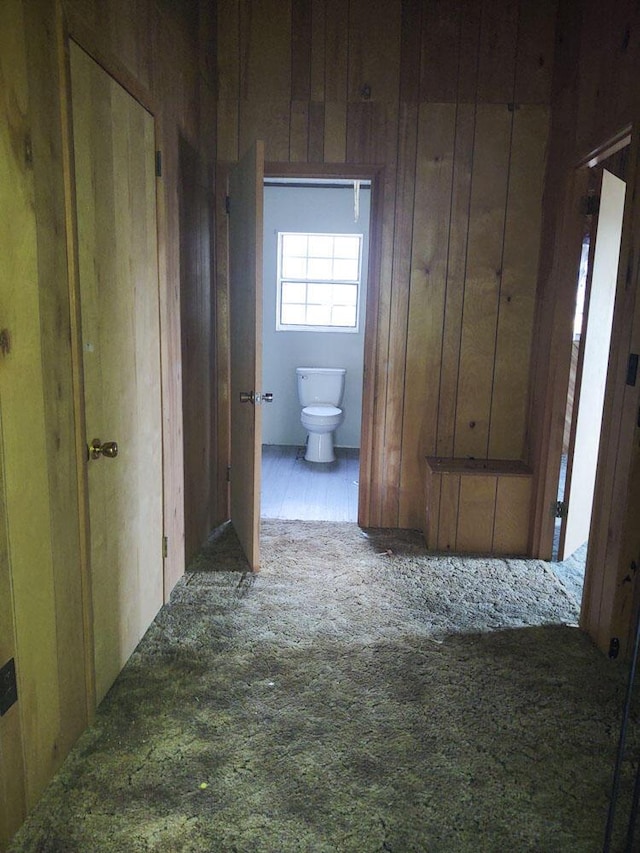 corridor featuring wooden walls and carpet floors