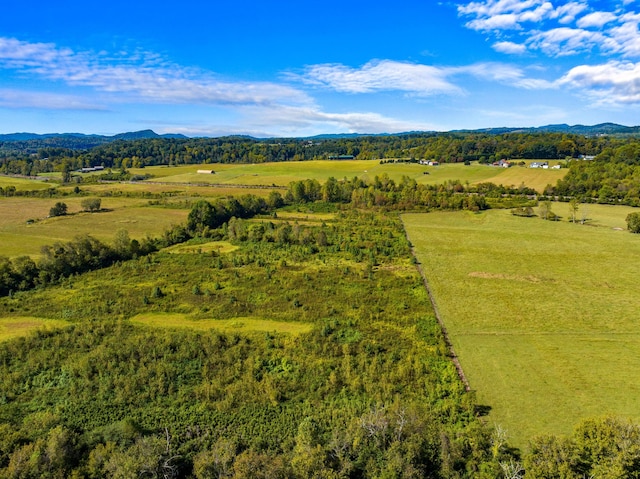 drone / aerial view with a mountain view and a rural view