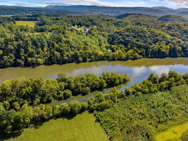 drone / aerial view with a water and mountain view