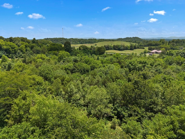 4996 Saint Paul Rd, Morristown, TN 37813 - photo 28