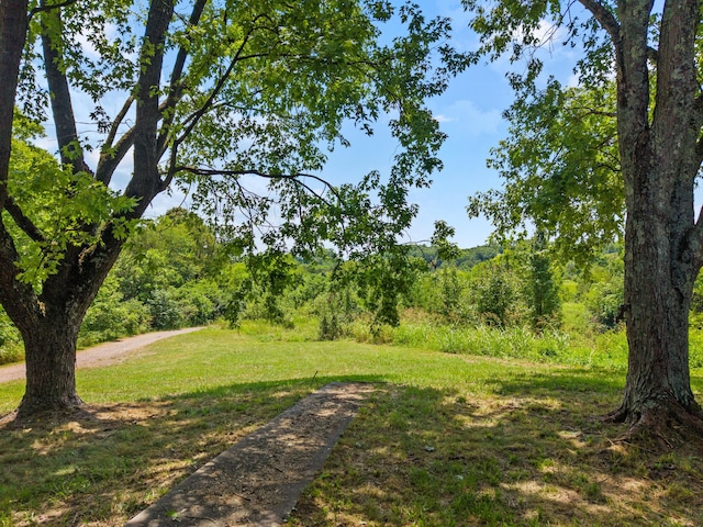 4996 Saint Paul Rd, Morristown, TN 37813 - photo 37