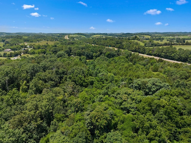 4996 Saint Paul Rd, Morristown, TN 37813 - photo 32