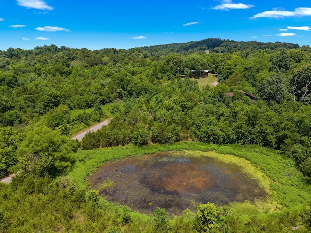 4996 Saint Paul Rd, Morristown, TN 37813 - photo 25