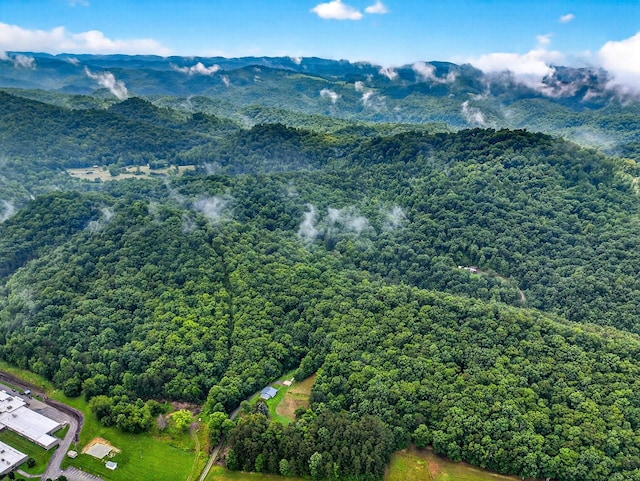 718 Mullins Dr, Sneedville, TN 37869 - view of mountain background with a heavily wooded area