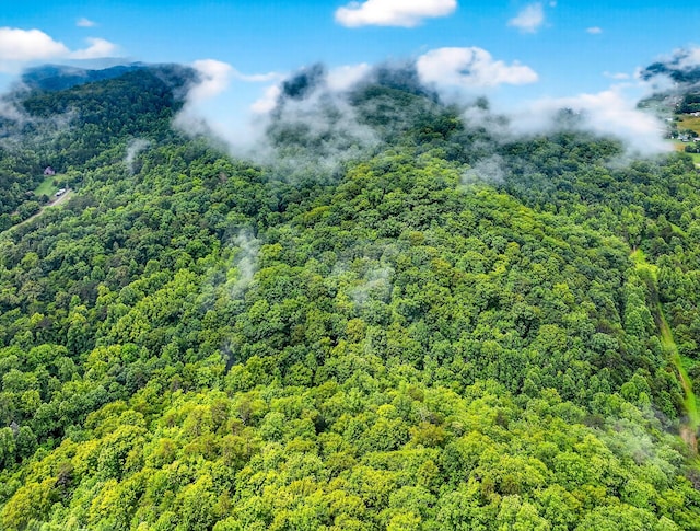 718 Mullins Dr, Sneedville, TN 37869 - aerial view of a forest
