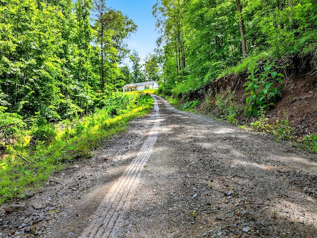 718 Mullins Dr, Sneedville, TN 37869 - view of dirt / gravel driveway featuring a wooded view