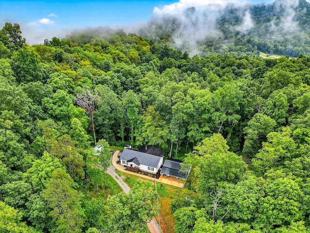 718 Mullins Dr, Sneedville, TN 37869 - view of subject property featuring a forest