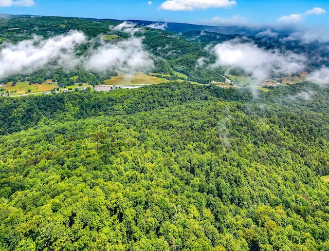 718 Mullins Dr, Sneedville, TN 37869 - drone / aerial view of a forest and a mountainous background