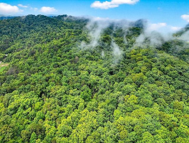 718 Mullins Dr, Sneedville, TN 37869 - bird's eye view of a heavily wooded area