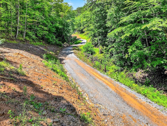 718 Mullins Dr, Sneedville, TN 37869 - view of road featuring a view of trees