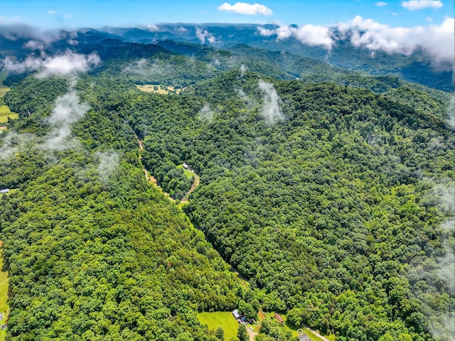 718 Mullins Dr, Sneedville, TN 37869 - aerial view of a heavily wooded area and a mountain backdrop