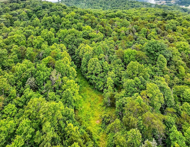 718 Mullins Dr, Sneedville, TN 37869 - drone / aerial view of a forest