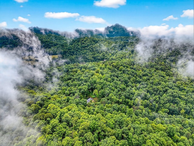 718 Mullins Dr, Sneedville, TN 37869 - aerial view of a forest
